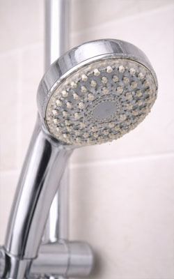Pomme de douche entartrée par le calcaire en métropole Rouennaise